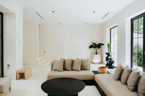 Stylish living room with comfy sofa and potted plant