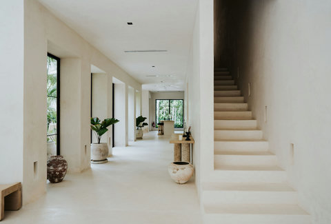 Elegant hallway with potted plants and staircase