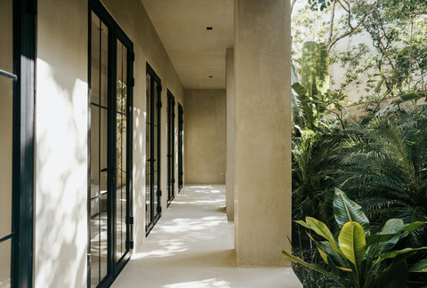 Light-filled walkway framed by floor-to-ceiling windows and greenery