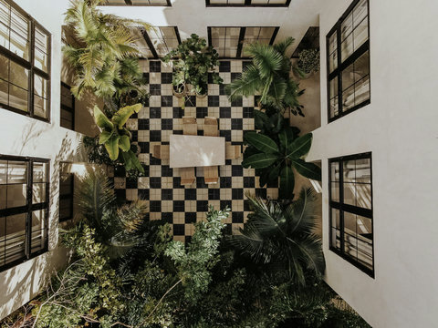 Sunlit open courtyard dining area is surrounded by lush tropical plants