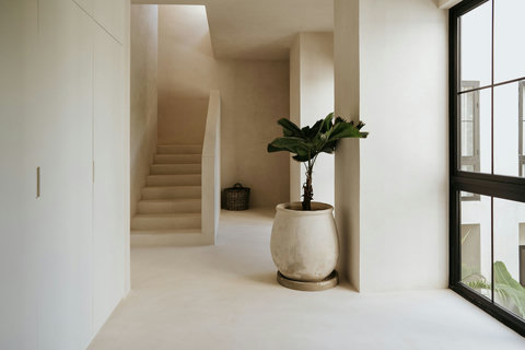 Minimalist hallway softened by greenery and an elegant staircase