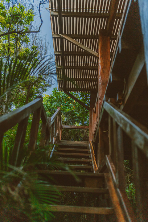 Wooden stairs lead back through dense shade, each step pulling you deeper into privacy, warmth, and green hush.