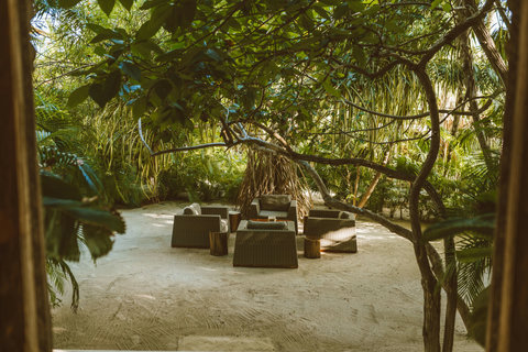LOUNGE AREA TREE - Relax in tropical shade