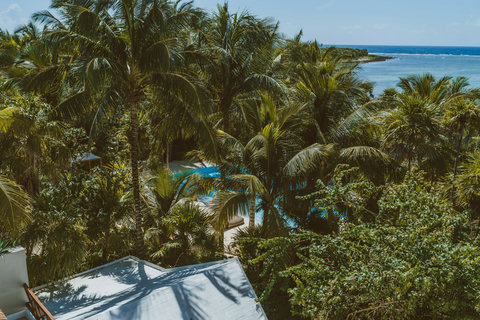 HOTEL VIEWS - Below, hidden lagoon pool flashes sapphire through palms, secret swim spot for steamy afternoons and moonlit dips.