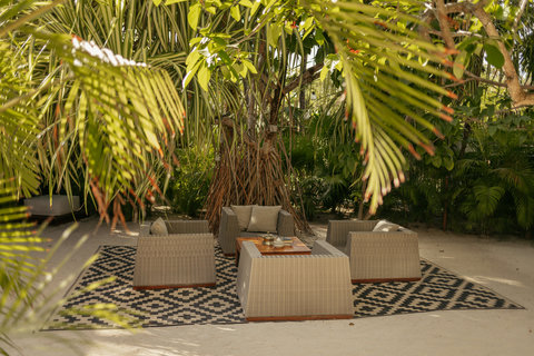 LOUNGE AREA TREE - Morning light filters through pandan leaves; monochrome rug frames wicker seats ready for barefoot journal pages.