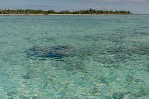 PRIVATE BEACH & BAY - Standstill lagoon clarity, ripples trace silver lines across shallow reef, inviting quiet reflection and weightless wandering.