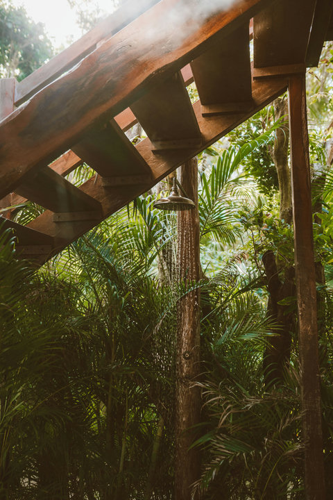 Steam rises through tropical leaves as warm water rinses away the day beneath the stairs.