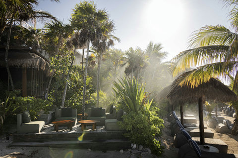 Morning mist drifts through palms, cushioned chairs waiting for barefoot coffee rituals a stride from gentle tide.