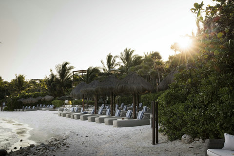 PRIVATE BEACH & BAY - Sun begins its descent, rays slip between palms, casting gold across pristine loungers and quiet shoreline.