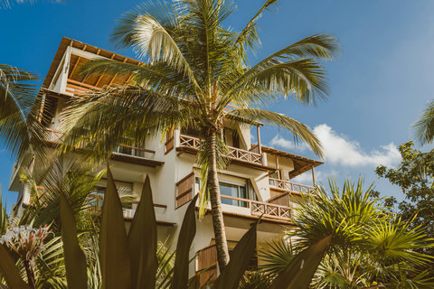 Terraced hideaway rises through emerald fronds, wooden balustrades inviting coffee rituals and hushed midnight constellation watching.