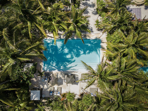 From above, cerulean rectangle hides beneath fronds—an invitation to hover, breathe, and surrender to weightlessness.