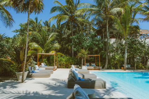 Foliage frames a hidden pool, dappled light shimmering across leaves and water, creating a secluded, verdant refuge.