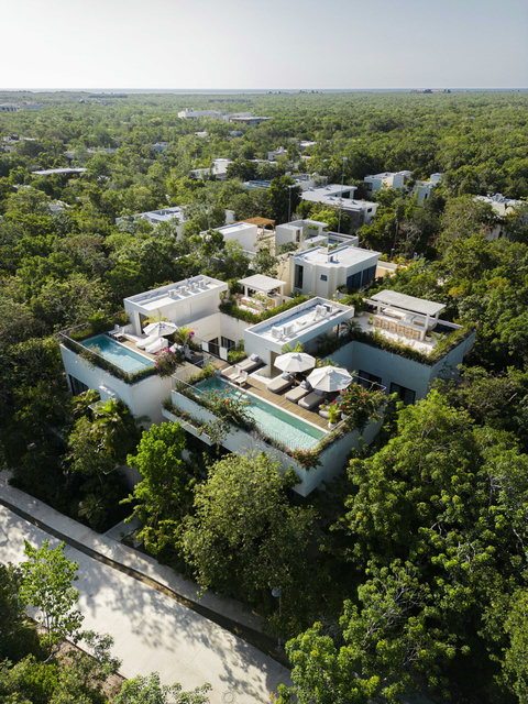 Aerial view of modern white villas surrounded by lush greenery, featuring private pool terraces