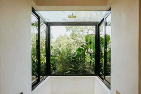 Lush, leafy garden view