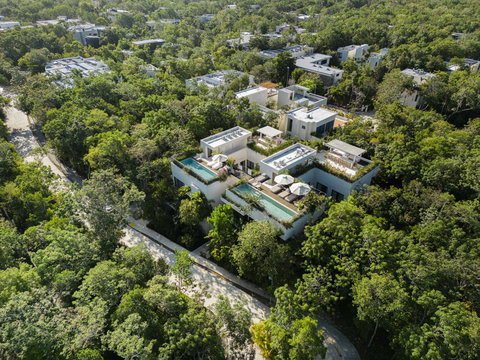 Design-forward villa rising from a canopy of greenery