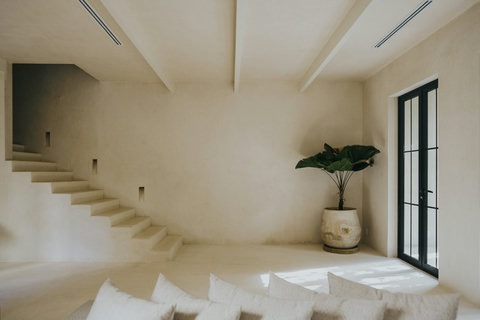 Minimalist hallway softened by greenery and an elegant staircase