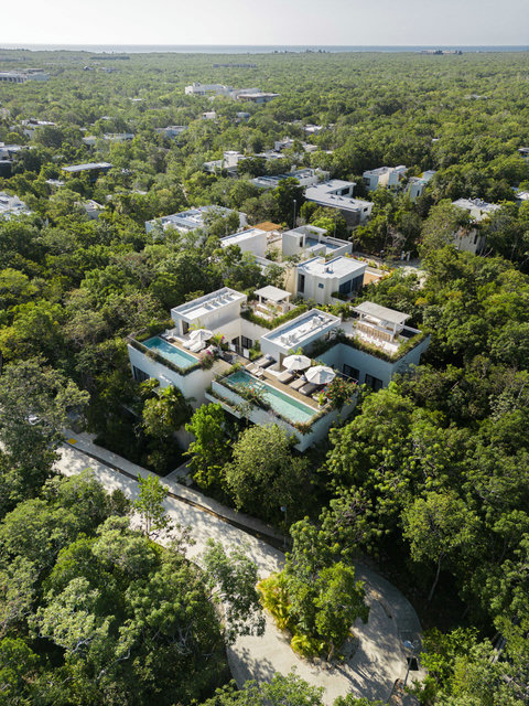Villa with private rooftop pools set within serene, green surroundings