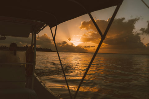 Drift on water as sunset ignites the sky in amber rays, silhouetted canopy framing horizons that melt into gold — every ripple holding stillness, every breath syncing with tide.