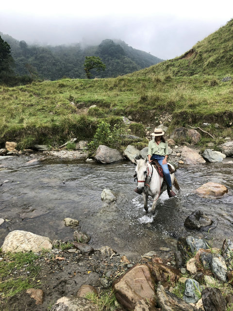 HORSEBACK RIDING TRAIL - Escape to tranquility at our serene hillside retreat, where misty mornings greet you with breathtaking mountain views. Experience adventure with horseback river crossings, all while soaking in the untouched beauty that surrounds y