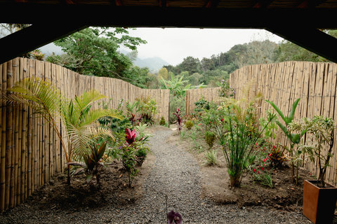 ENTRANCE - 🌿 Discover your serene escape! Nestled within lush, vibrant gardens, this tranquil retreat offers private bamboo-lined pathways perfect for a morning stroll or a sunset reflection. Embrace the peaceful ambiance and let nature inspire your stay.