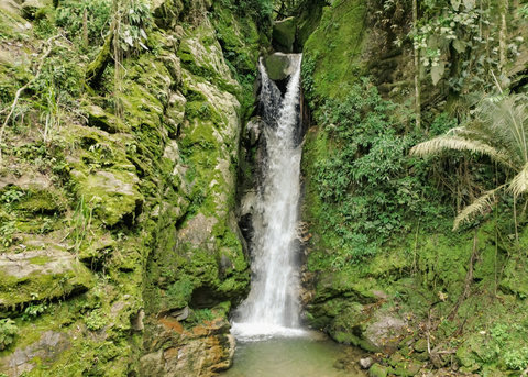 WATERFALL - 🌿 Immerse yourself in nature’s embrace! Experience tranquility like never before as you unwind by your private waterfall oasis, surrounded by lush greenery and the soothing sounds of cascading water. This serene escape promises a magical blend