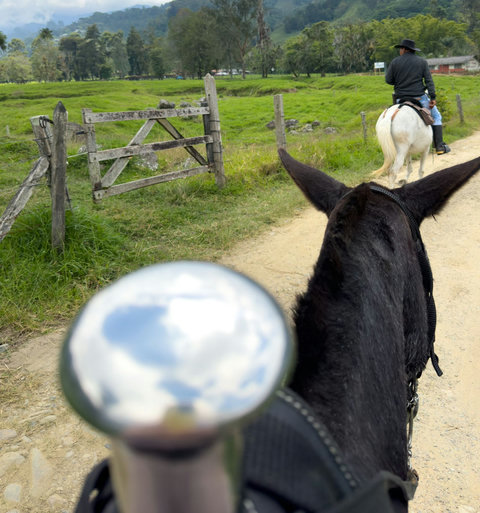 HORSE RIDING - Escape to tranquility with an unforgettable horseback adventure! 🌿 Ride through picturesque landscapes, feel the fresh country breeze, and embrace the serene charm of nature. Perfect for a rejuvenating getaway!