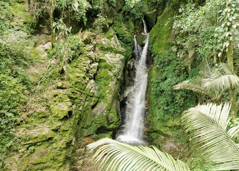 WATERFALL - 🌿 Escape to your private paradise where the soothing sound of cascading waterfalls refreshes both mind and soul. Enjoy tranquil mornings enveloped in lush greenery and recharge in this natural sanctuary. Your serene retreat awaits! 🌊✨