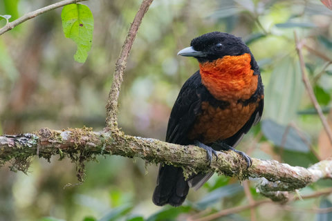 BIRD WATCHING - Immerse yourself in nature's vibrant hues from the comfort of this beautifully lit retreat, featuring modern amenities and a warm, inviting ambiance. Every moment spent here is a dance with tranquility and natural beauty.
