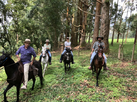 HORSEBACK RIDING TRAIL -  Escape to tranquility where adventure meets serenity. This countryside haven offers breathtaking views and immersive nature experiences, perfect for unwinding or exploring. Whether you enjoy a peaceful ride through misty hills or