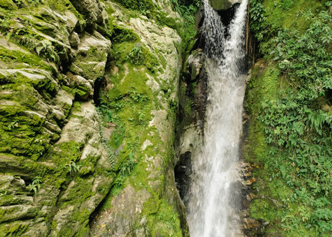WATERFALL - Escape to your private oasis where lush greenery and the soothing sounds of cascading waterfalls create a serene retreat. Reconnect with nature and unwind in this tranquil paradise.