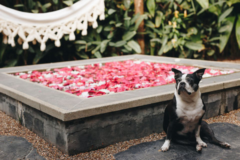 Patio Pool - Step into your own private jungle oasis, where twinkling fairy lights and a lush green backdrop set the perfect mood for relaxation. Unwind in the hammock or soak in the petal-filled hot tub, and let nature's tranquility wash over you.