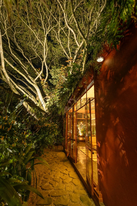 patio - ✨ Escape to tranquility in this enchanting retreat surrounded by lush greenery. With warm lighting creating a cozy ambiance, unwind while nature’s whispers lull you to serenity. Perfect for those seeking a peaceful getaway with modern comforts. 🌿🕯