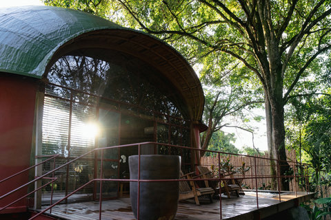 Balcony 2 - 🌿 Welcome to Your Treehouse Escape 🌿 Bathed in golden sunlight, this enchanting retreat invites you to unwind amidst nature’s embrace. Enjoy serene mornings on the deck, surrounded by lush greenery, with the whisper of the forest as your sound