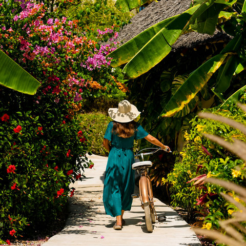 Garden Tour A guided walk through our aromatic gardens to discover Zanzibar's unique fauna and flora, tropical fruits, spices, and medicinal plants.