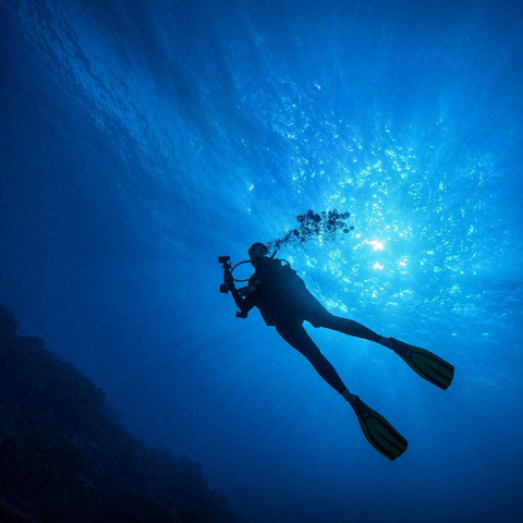 Diving Expeditions - PADI certified Explore breathtaking dive sites with our PADI-certified partner selecting the finest locations.