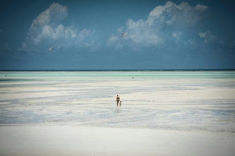 As the tide slips away, the beach opens wide and quiet, leaving space for small footsteps and softer thoughts.