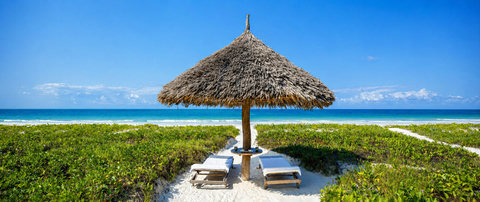Beach Loungers Relax under our traditional thatched beach umbrellas with comfortable loungers overlooking the Indian Ocean.