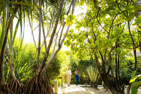 Barefoot along the garden path, leaves flicker overhead and time slows to a tropical hush.