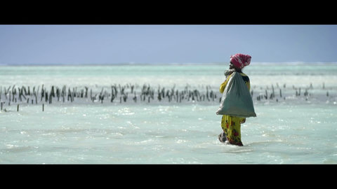 A local figure crosses the shallows, tide at her ankles, the island moving with steady grace.