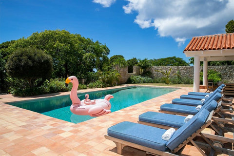Plenty of seating around the pool for all guests