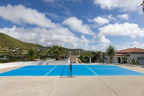 Private Pickleball Court at Villa Amalia