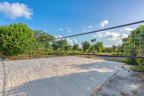 Volleyball