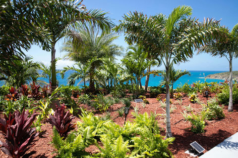Caribbean Landscaping