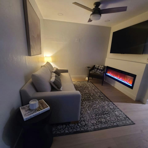 Living Room / Electric Fireplace