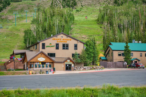 226 South Highway 143  - www.lystpros.com -48