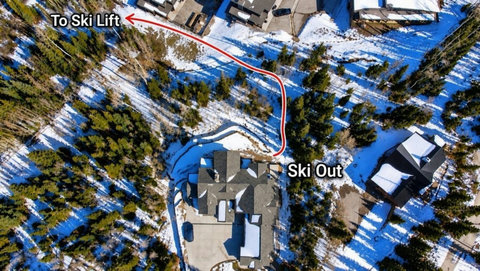 SKI OUT