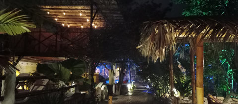 hammock house by night 