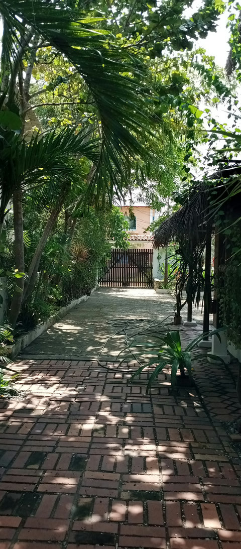 parking for 5 to 6 cars