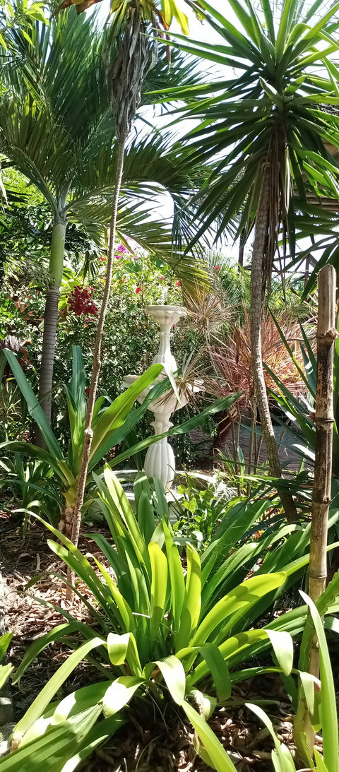 Garden  and water fountain