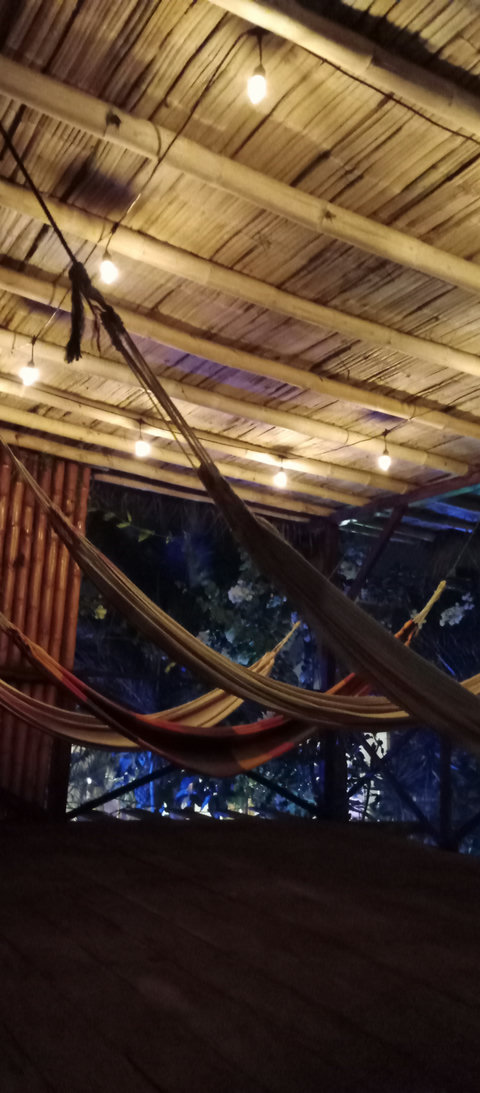 hammock house by night 